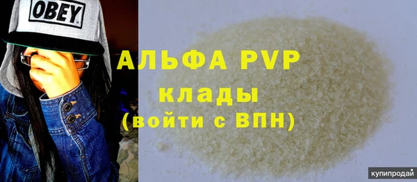 гашик Гусь-Хрустальный