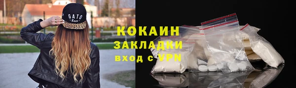 ешки Гусев