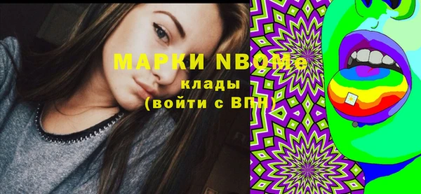 гашик Гусь-Хрустальный