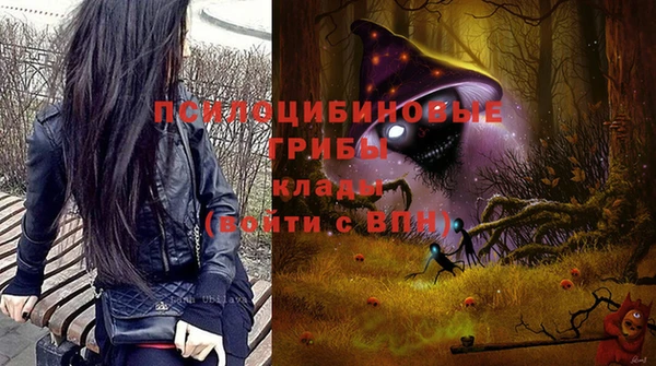 гашик Гусь-Хрустальный
