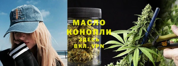 гашик Гусь-Хрустальный