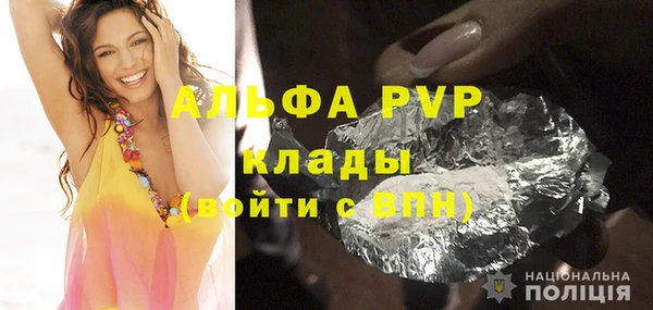 гашик Гусь-Хрустальный